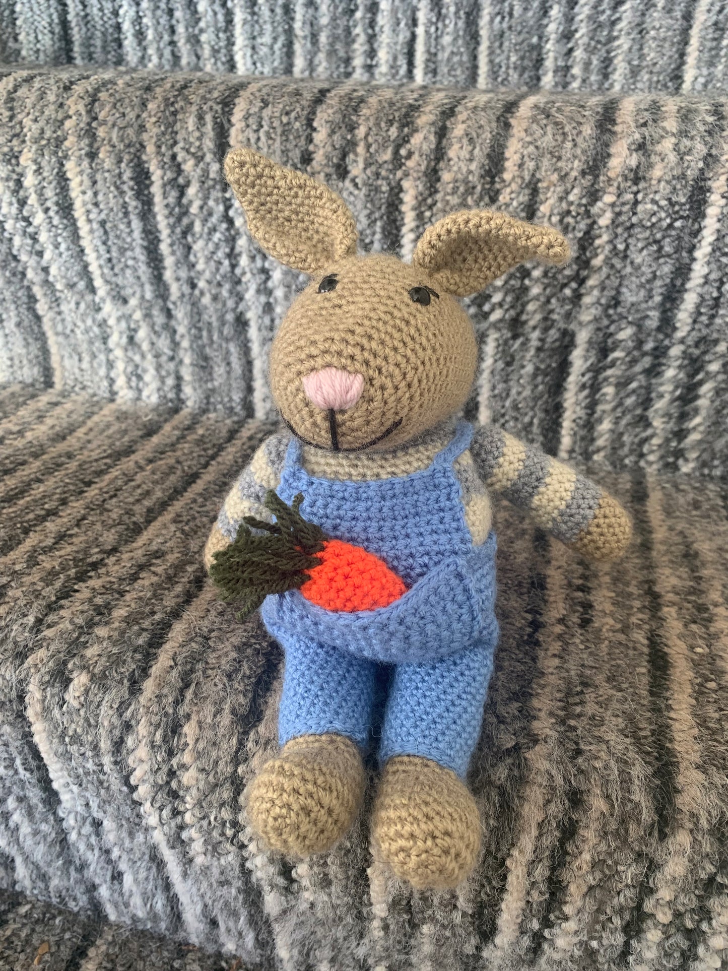 Riley the rabbit
