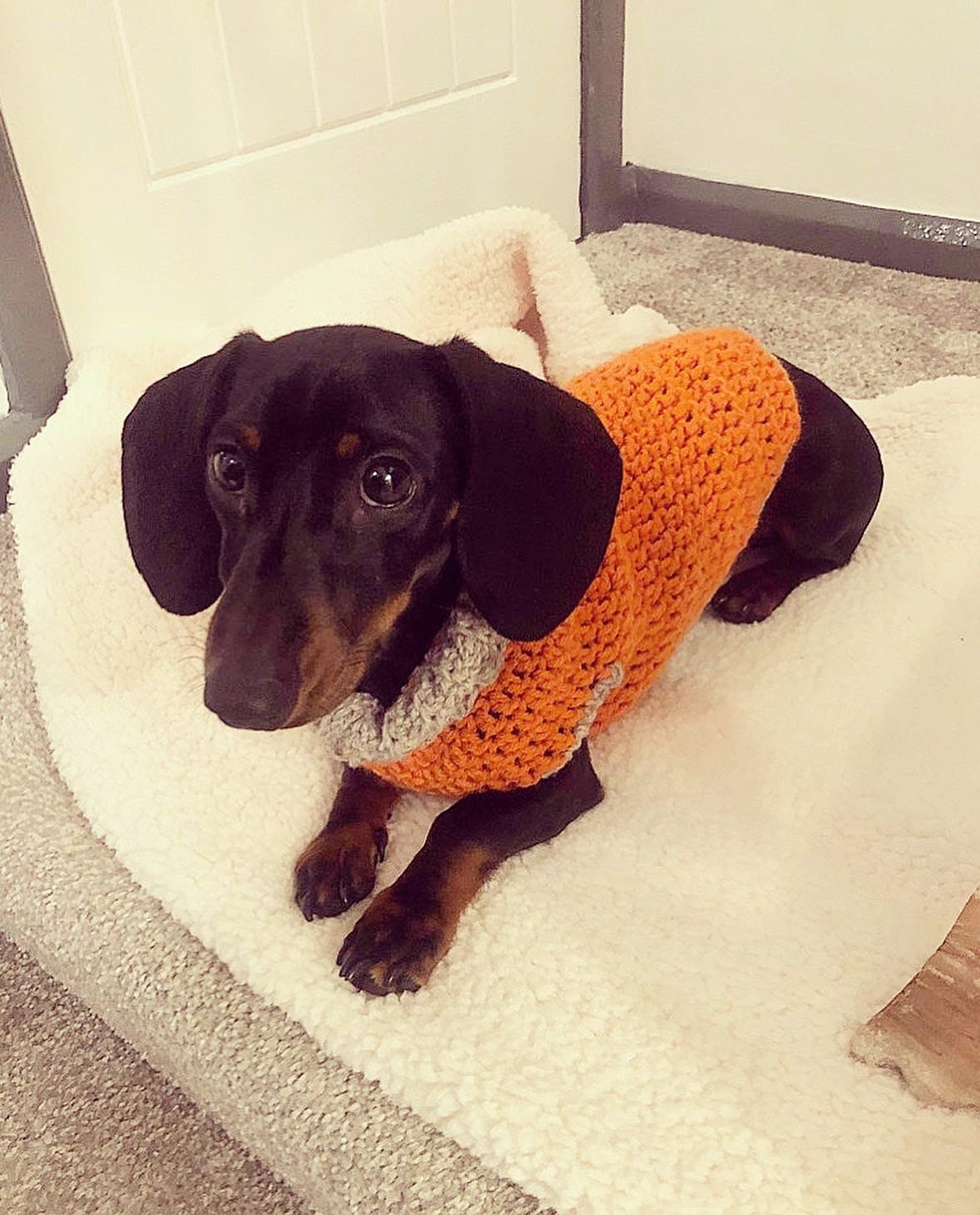 Various size Crochet dog jumper