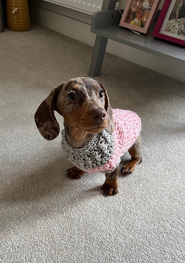 Various size Crochet dog jumper