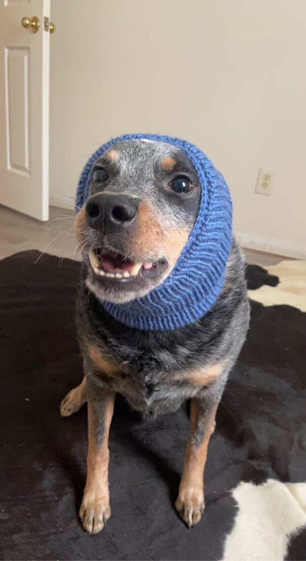 Hand knitted dog snood.