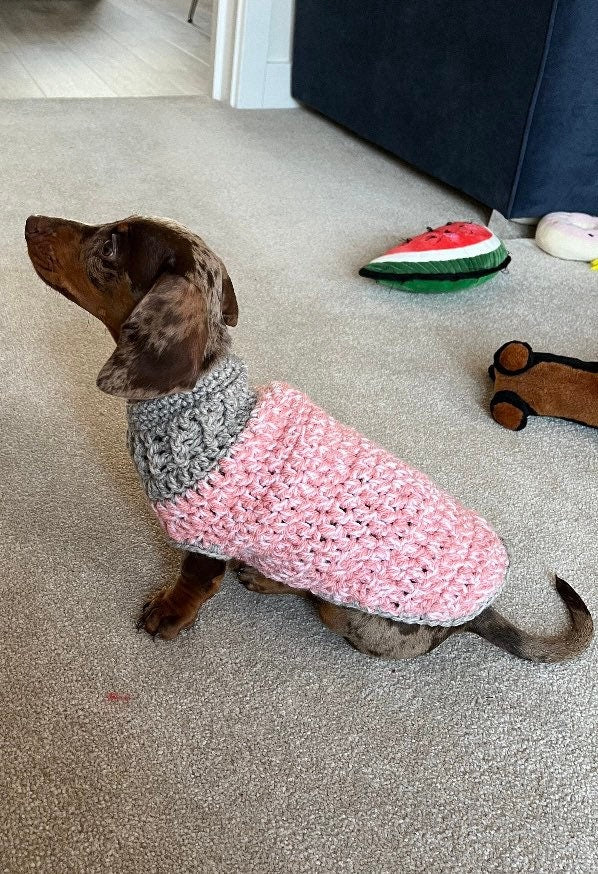 Various size Crochet dog jumper