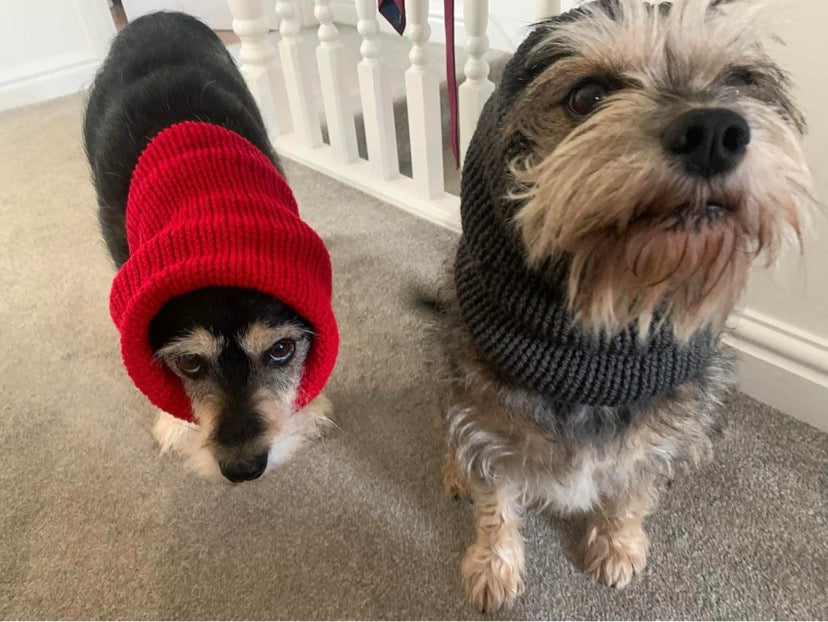Hand knitted dog snood.