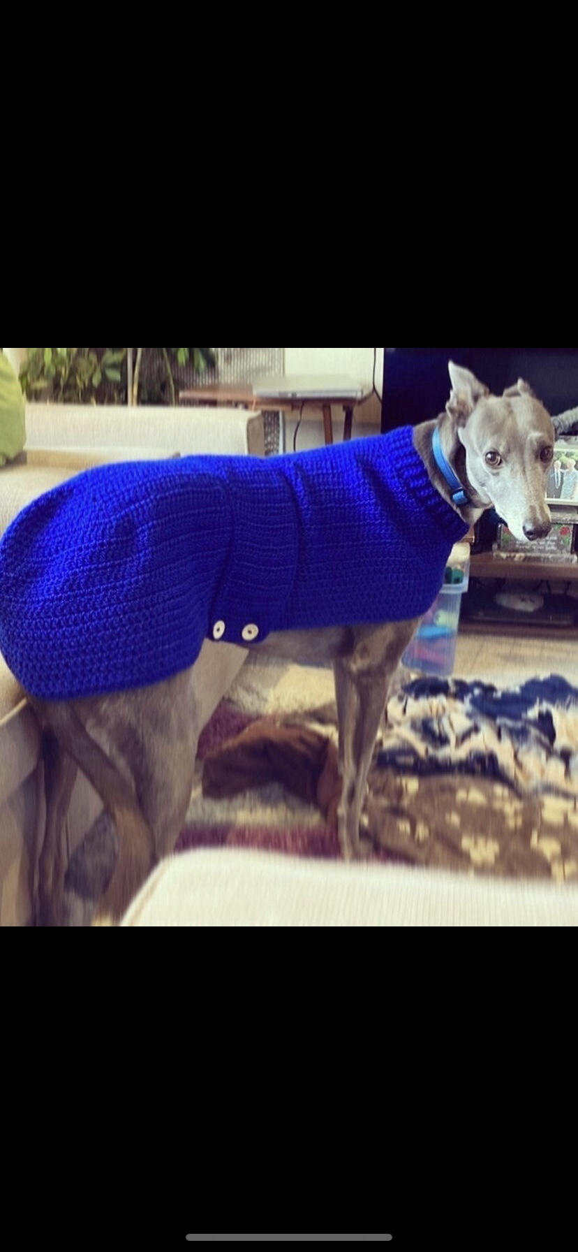 Various size Crochet dog jumper