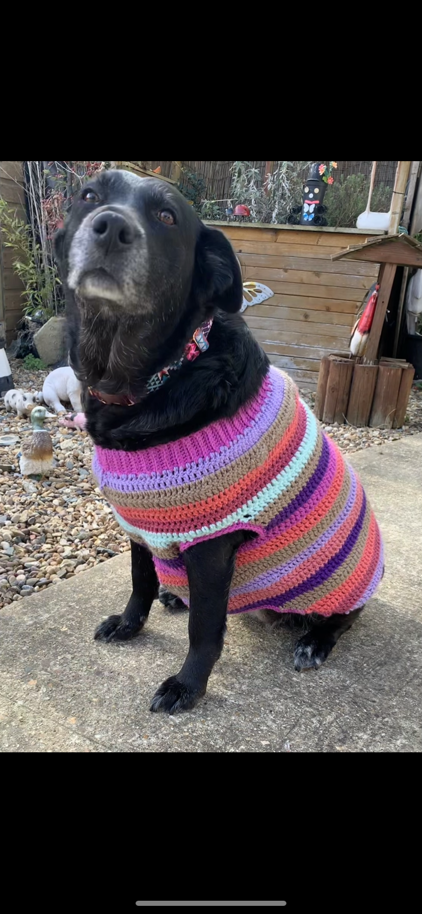 Various size Crochet dog jumper