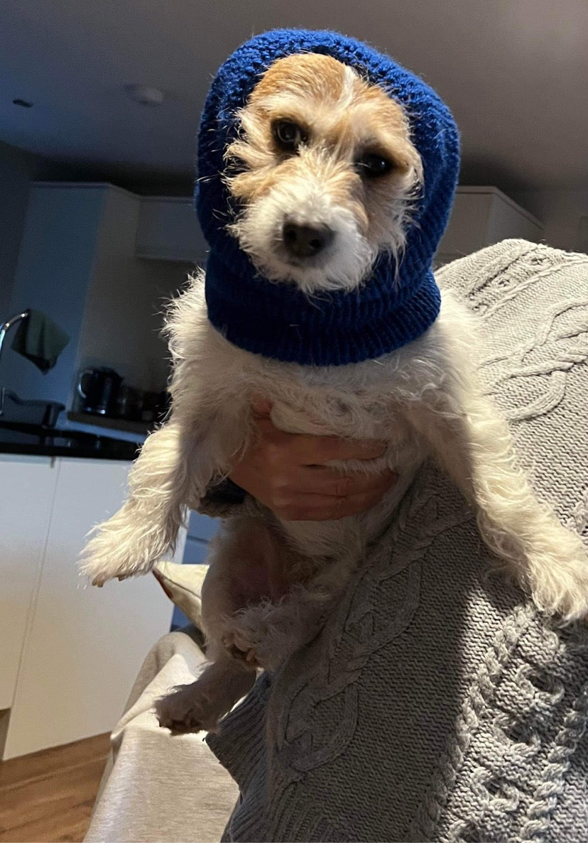 Hand knitted dog snood.