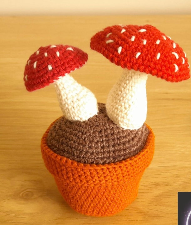 Mushrooms in a pot