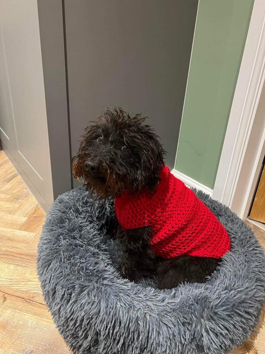 Various size Crochet dog jumper